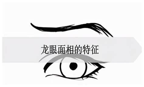 龍眼面相男|龙眼面相的特征图解